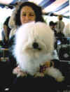 CH. Shaglear E.T.