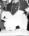 CH. Shaglear E.T.