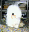 Neige