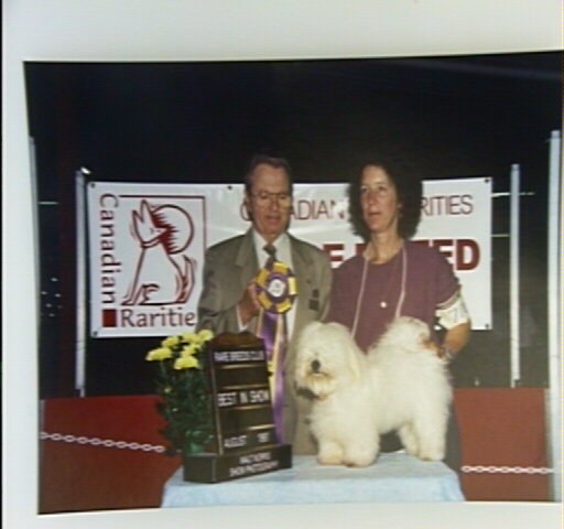Shaglear E.T. Best in Show
