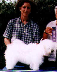 CH. Shaglear E.T.