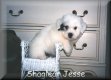 Jesse