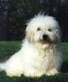 Tucker